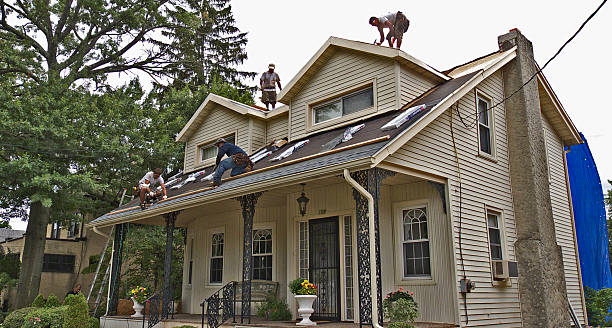 Best Roof Gutter Cleaning  in Home, WA
